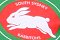 South Sydney Rabbitoh's jersey flegg rugby league