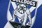 Canterbury-Bankstown BULLDOGS hmc